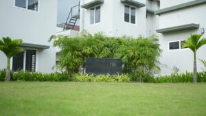 villas near by shoranur
